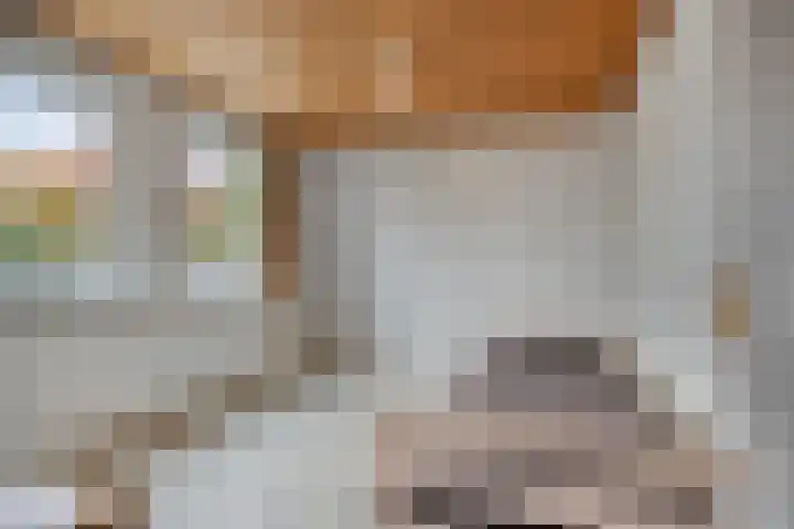't Vijfeiken 28 Heesch thumbnail 31