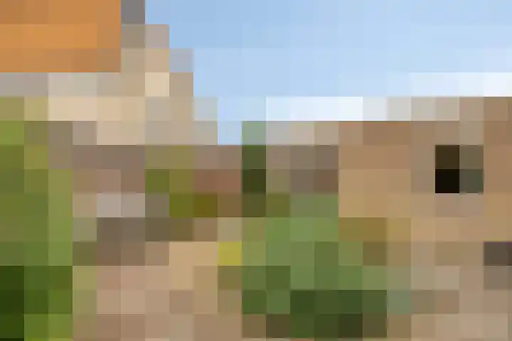 't Vijfeiken 28 Heesch thumbnail 34