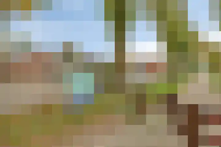 't Vijfeiken 28 Heesch thumbnail 40