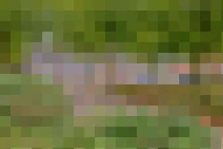 't Vijfeiken 28 Heesch thumbnail 41