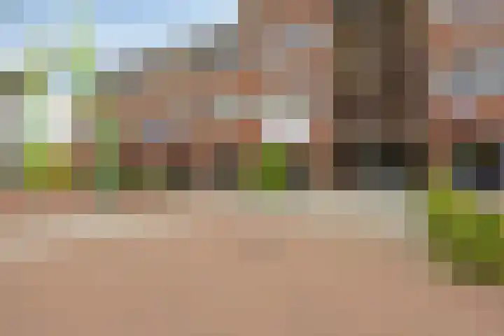 't Vijfeiken 28 Heesch thumbnail 42