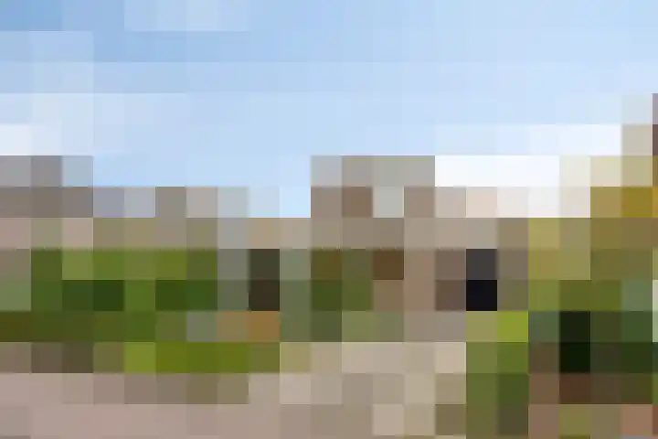 't Vijfeiken 28 Heesch thumbnail 47