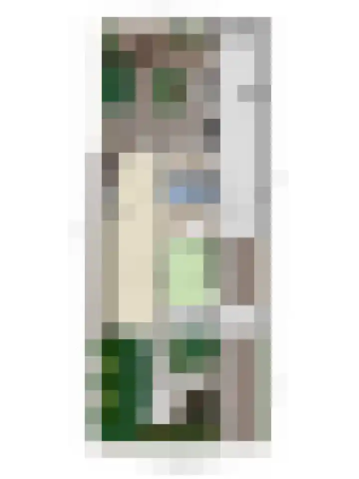 't Vijfeiken 28 Heesch thumbnail 48