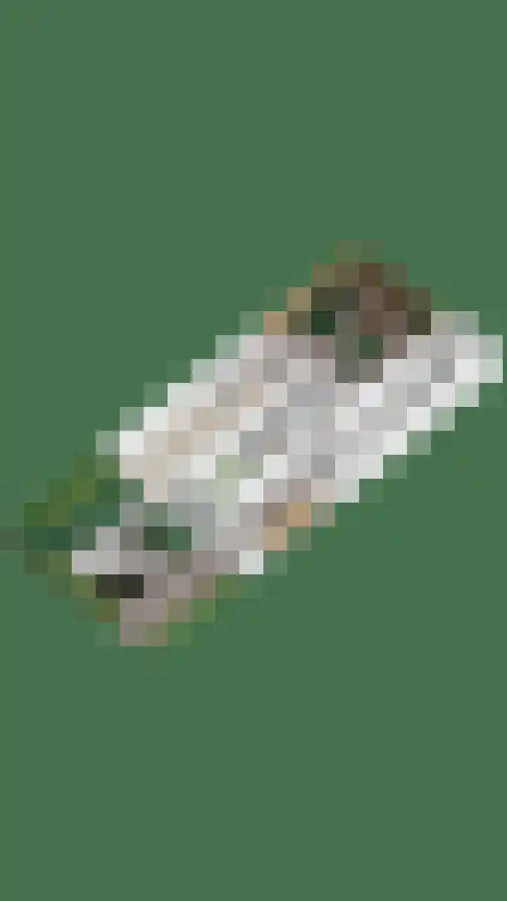 't Vijfeiken 28 Heesch thumbnail 49
