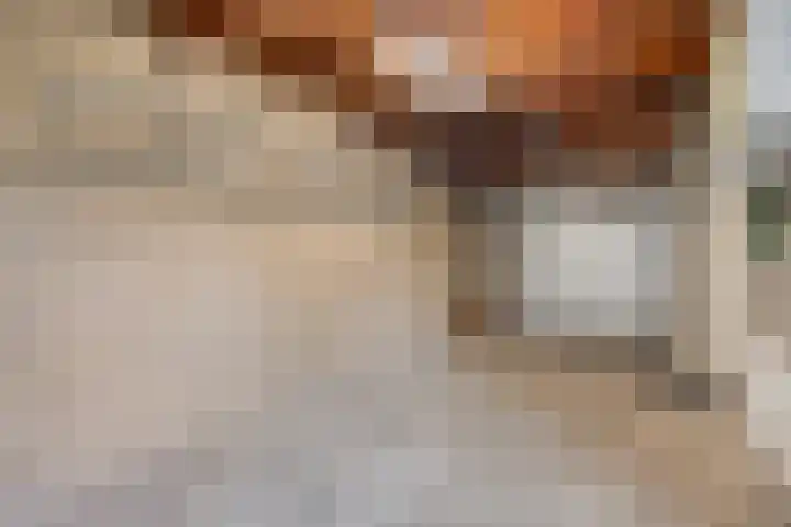 't Vijfeiken 28 Heesch thumbnail 5