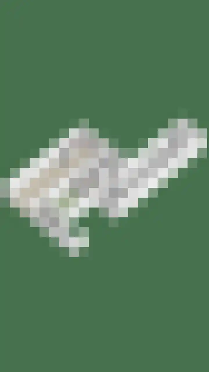 't Vijfeiken 28 Heesch thumbnail 51