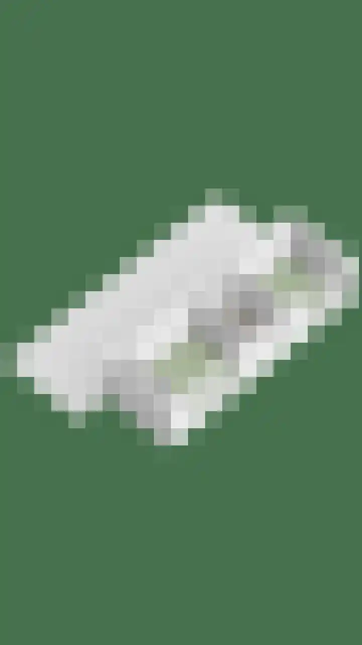 't Vijfeiken 28 Heesch thumbnail 53