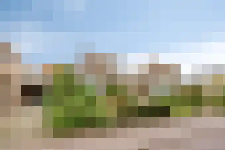 't Vijfeiken 28 Heesch thumbnail 6