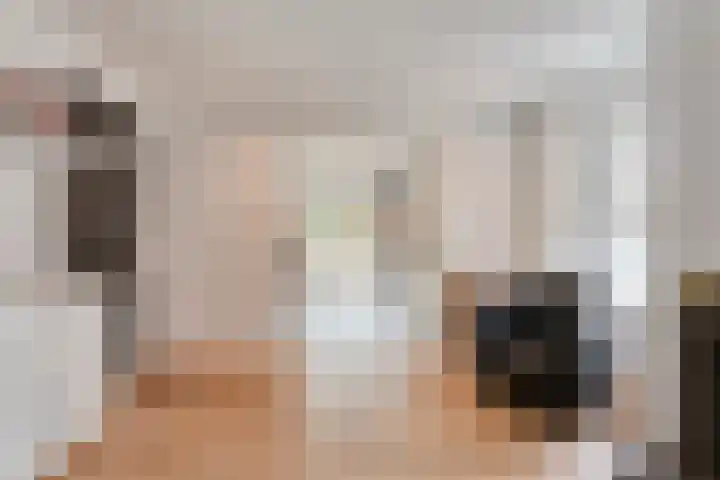 't Vijfhoekje 14 Slagharen thumbnail 13
