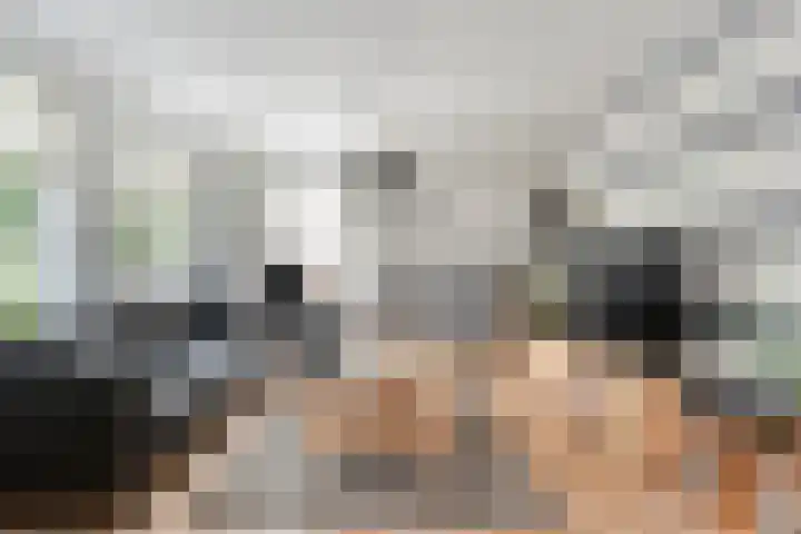 't Vijfhoekje 14 Slagharen thumbnail 15