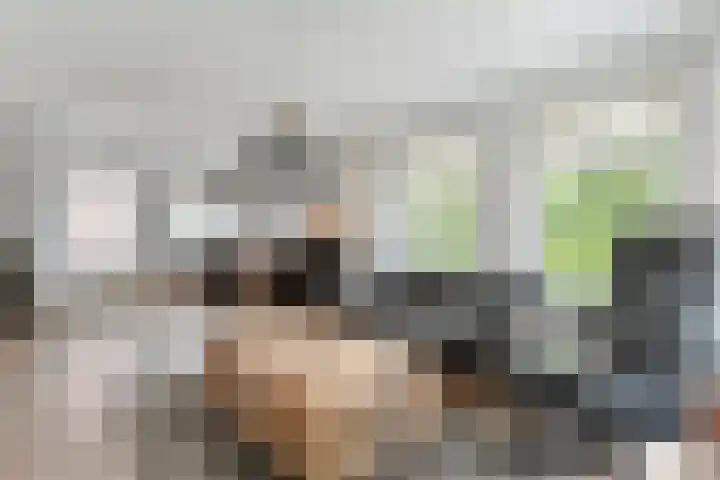 't Vijfhoekje 14 Slagharen thumbnail 16