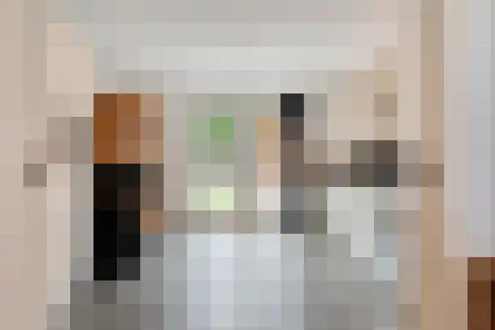 't Vijfhoekje 14 Slagharen thumbnail 17