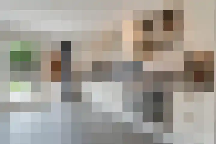 't Vijfhoekje 14 Slagharen thumbnail 18