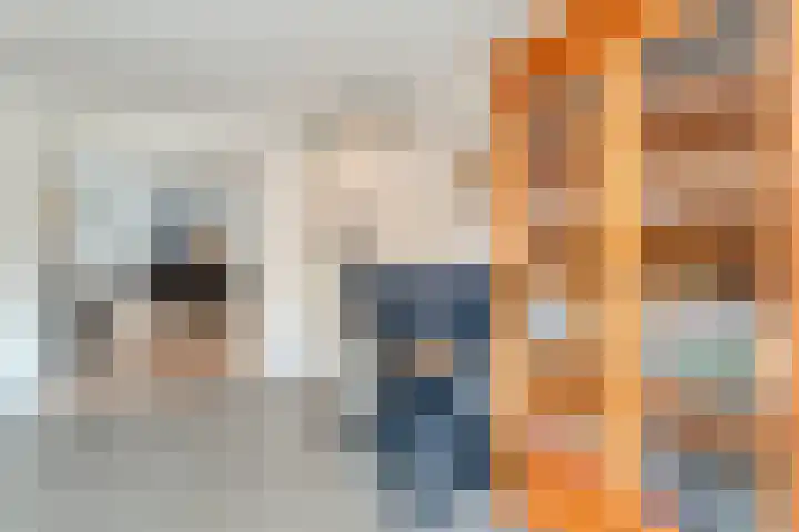 't Vijfhoekje 14 Slagharen thumbnail 19