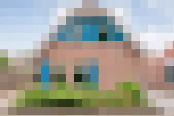 't Vijfhoekje 14 Slagharen foto 2