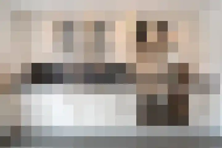 't Vijfhoekje 14 Slagharen thumbnail 20