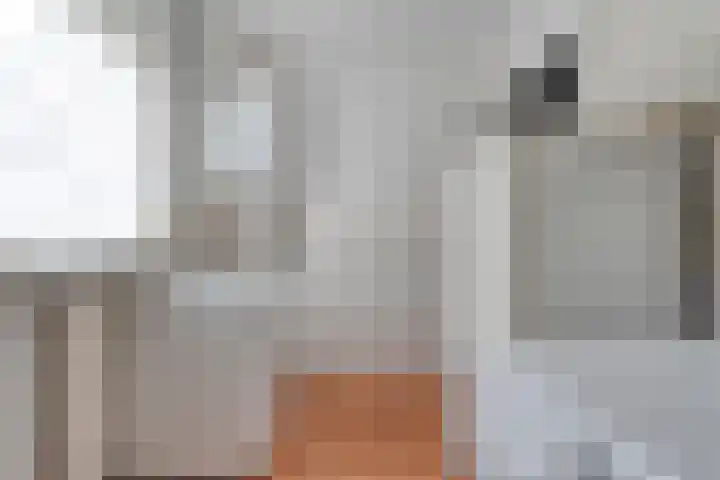 't Vijfhoekje 14 Slagharen thumbnail 23