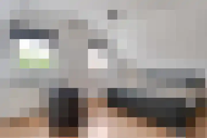 't Vijfhoekje 14 Slagharen thumbnail 27