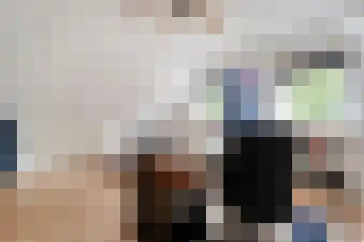 't Vijfhoekje 14 Slagharen thumbnail 29
