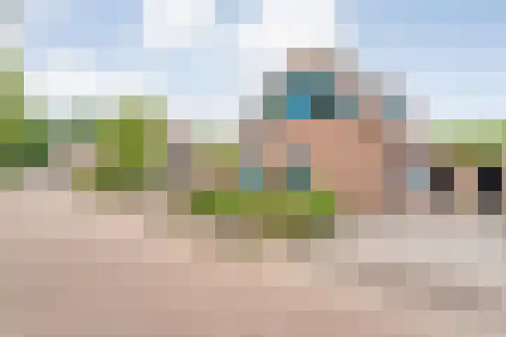 't Vijfhoekje 14 Slagharen foto 3