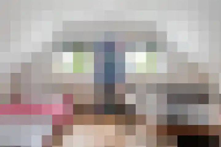 't Vijfhoekje 14 Slagharen thumbnail 30