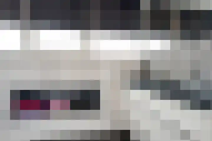't Vijfhoekje 14 Slagharen thumbnail 32
