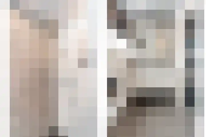 't Vijfhoekje 14 Slagharen thumbnail 34