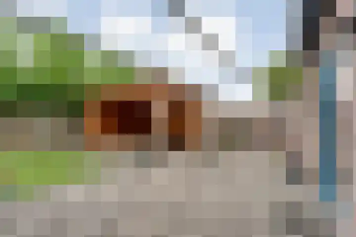 't Vijfhoekje 14 Slagharen thumbnail 35