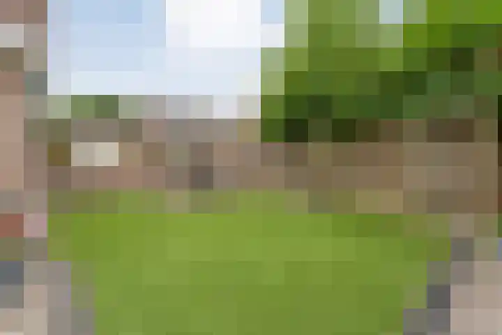 't Vijfhoekje 14 Slagharen thumbnail 37