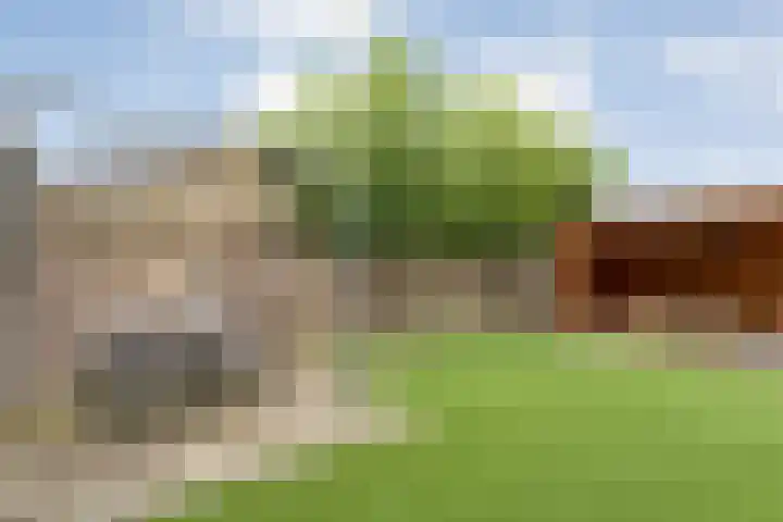 't Vijfhoekje 14 Slagharen thumbnail 39
