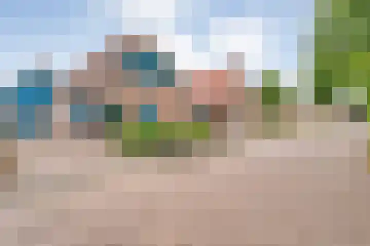 't Vijfhoekje 14 Slagharen thumbnail 4