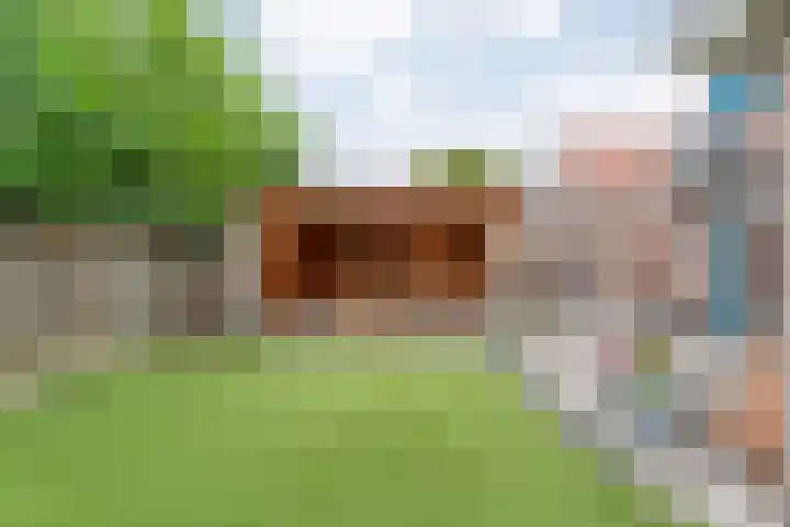 't Vijfhoekje 14 Slagharen thumbnail 40
