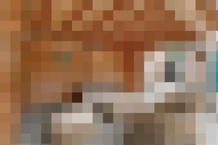 't Vijfhoekje 14 Slagharen thumbnail 41