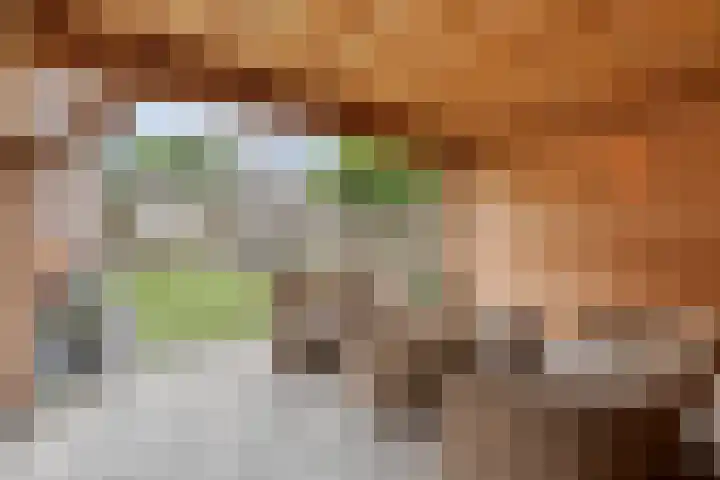 't Vijfhoekje 14 Slagharen thumbnail 42
