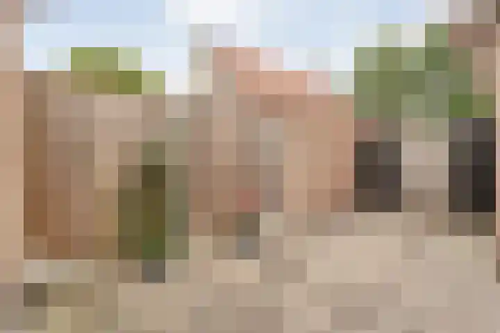 't Vijfhoekje 14 Slagharen thumbnail 43