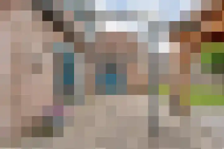 't Vijfhoekje 14 Slagharen thumbnail 44