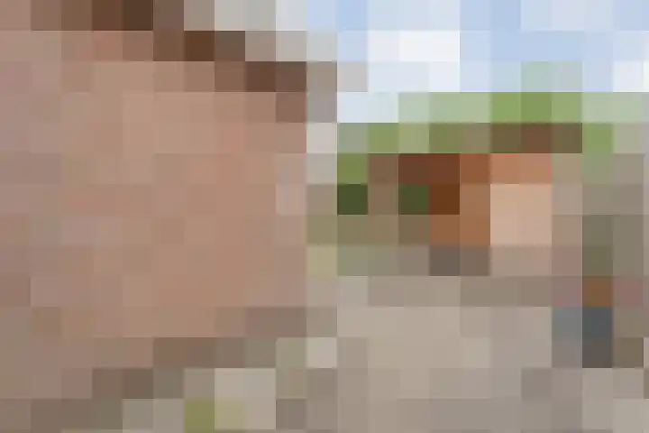 't Vijfhoekje 14 Slagharen thumbnail 45