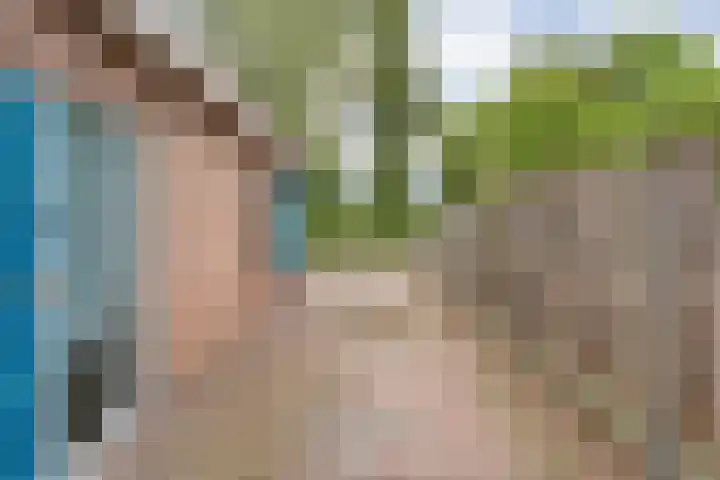 't Vijfhoekje 14 Slagharen thumbnail 7