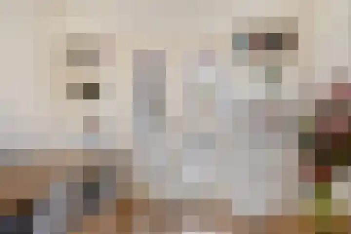 't Voorhuis 14 Veenendaal thumbnail 15