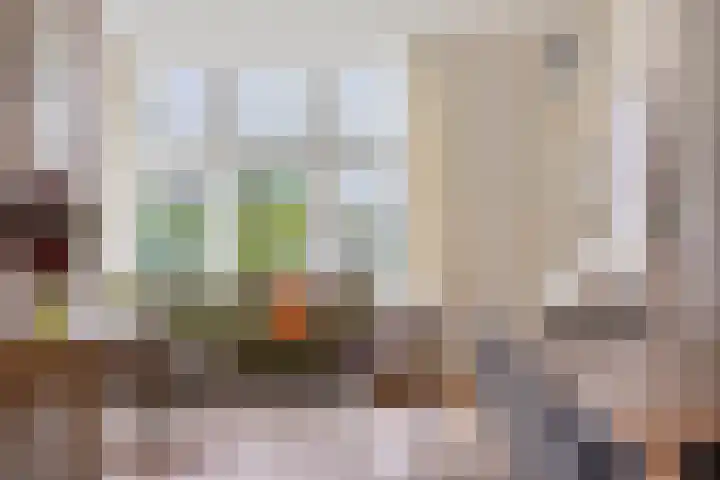 't Voorhuis 14 Veenendaal thumbnail 18