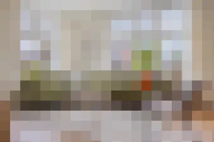 't Voorhuis 14 Veenendaal thumbnail 19