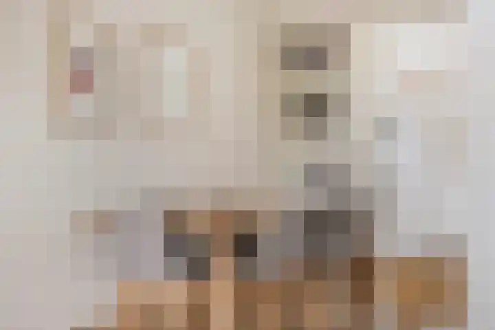 't Voorhuis 14 Veenendaal thumbnail 22