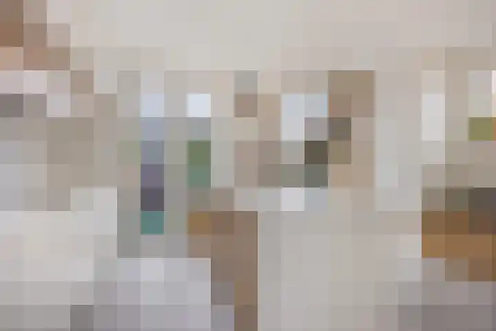 't Voorhuis 14 Veenendaal thumbnail 25