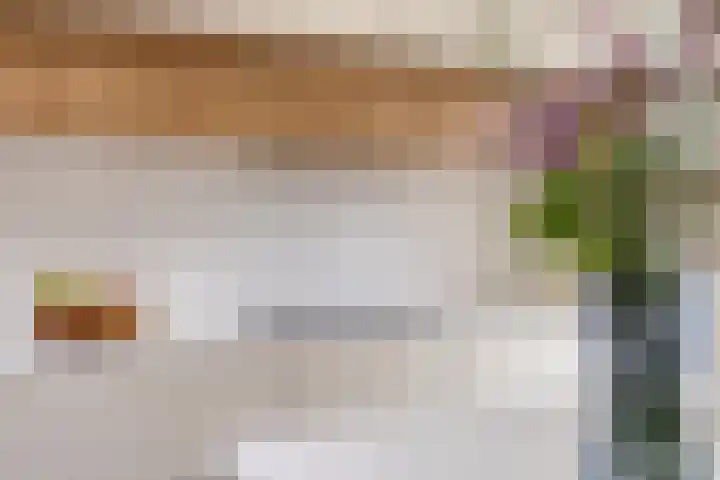 't Voorhuis 14 Veenendaal thumbnail 26
