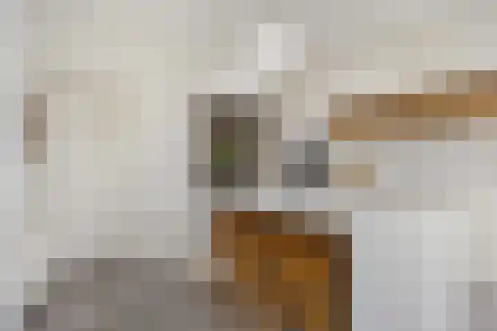 't Voorhuis 14 Veenendaal thumbnail 27