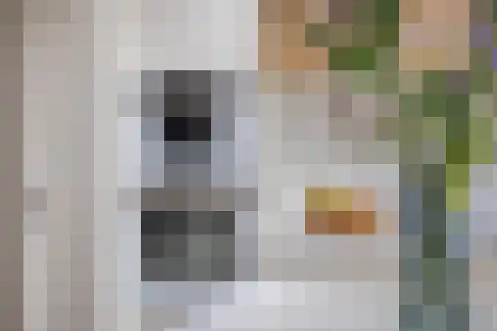 't Voorhuis 14 Veenendaal thumbnail 28