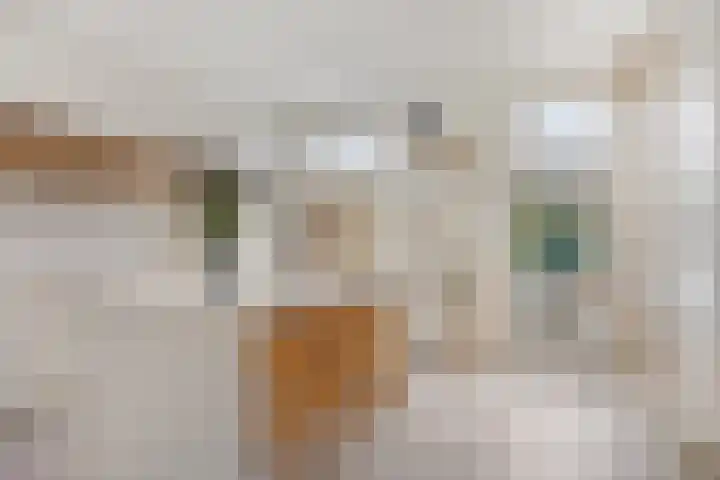 't Voorhuis 14 Veenendaal foto 3