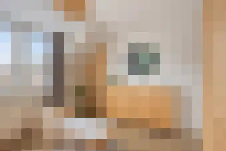 't Voorhuis 14 Veenendaal thumbnail 36
