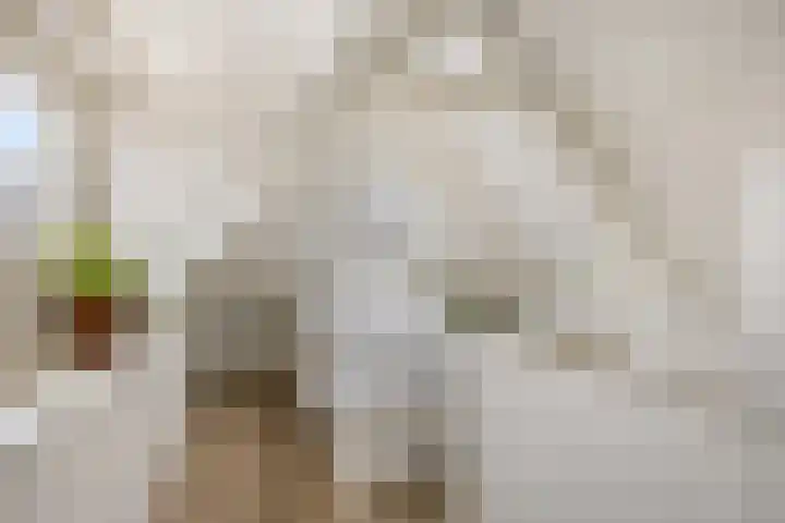 't Voorhuis 14 Veenendaal thumbnail 40