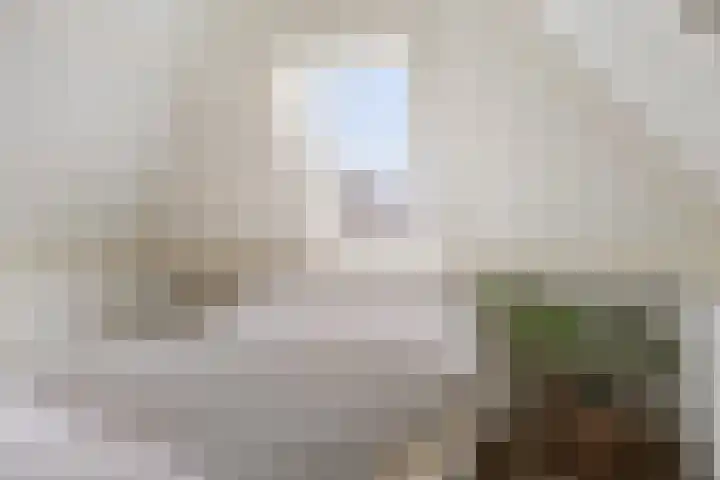 't Voorhuis 14 Veenendaal thumbnail 41